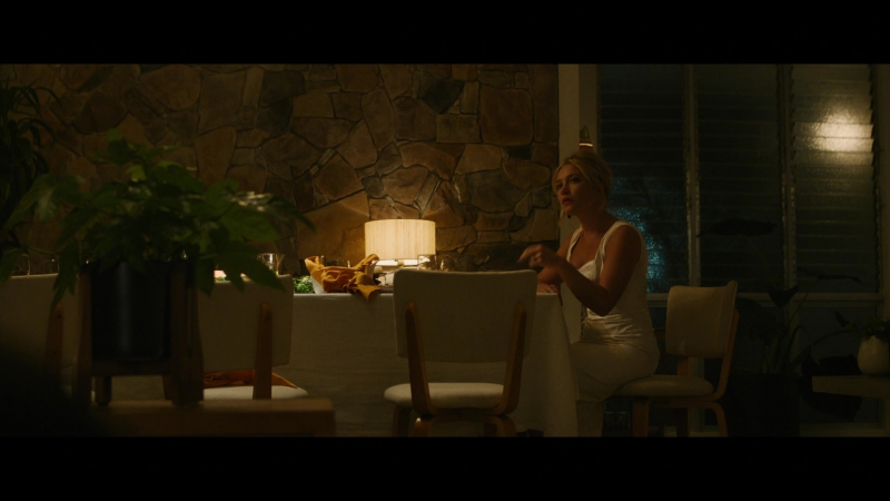 Dont_Worry_Darling_2022_1080p_BluRay__11738.jpg