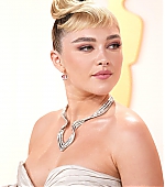 AcademyAwards_LA_RedCarpet_March2023_283429.jpg