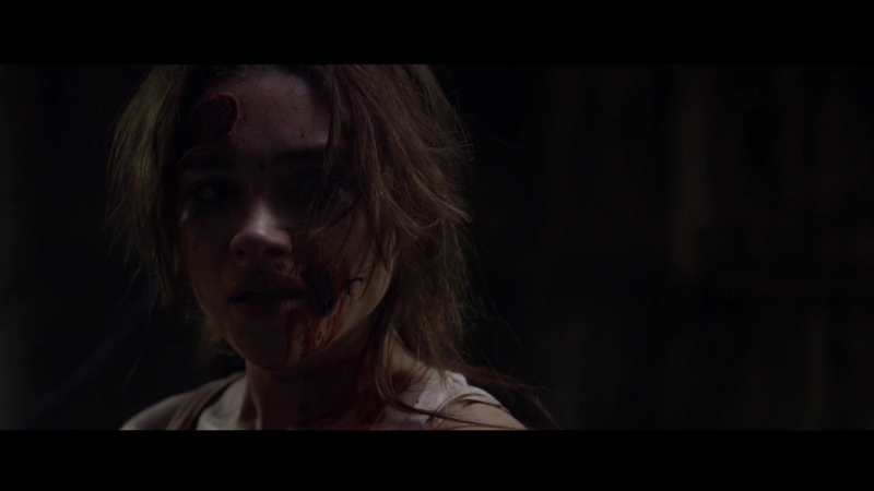 Malevolent_FPD_1415.jpg