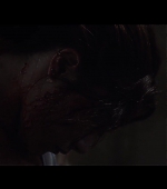 Malevolent_FPD_0902.jpg