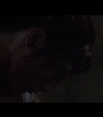 Malevolent_FPD_0903.jpg