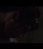 Malevolent_FPD_0904.jpg
