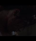 Malevolent_FPD_0906.jpg
