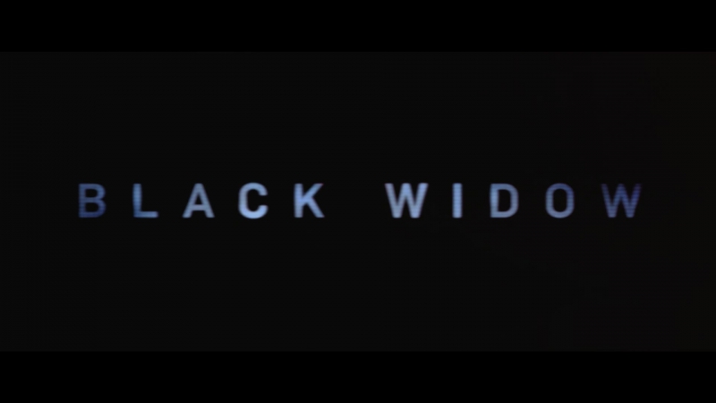 blackwidow28202129_0908.jpg