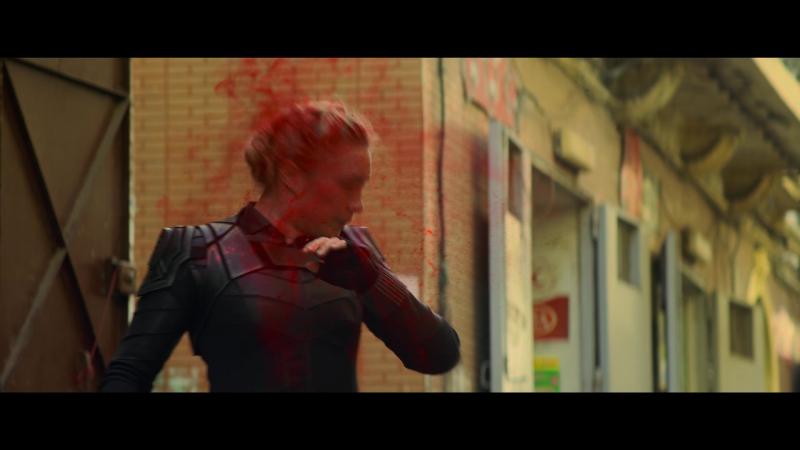 blackwidow28202129_1398.jpg