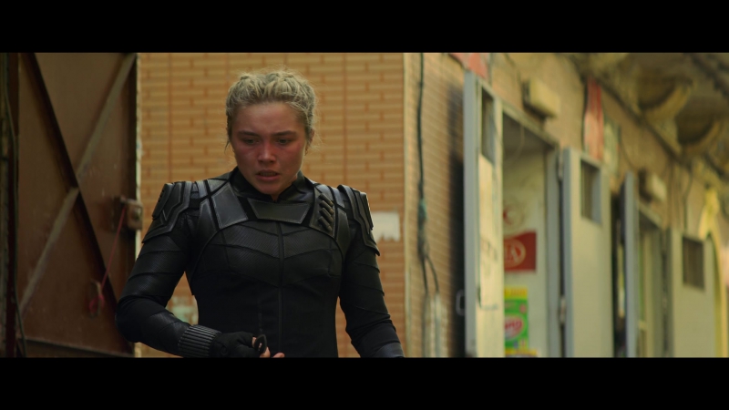 blackwidow28202129_1401.jpg