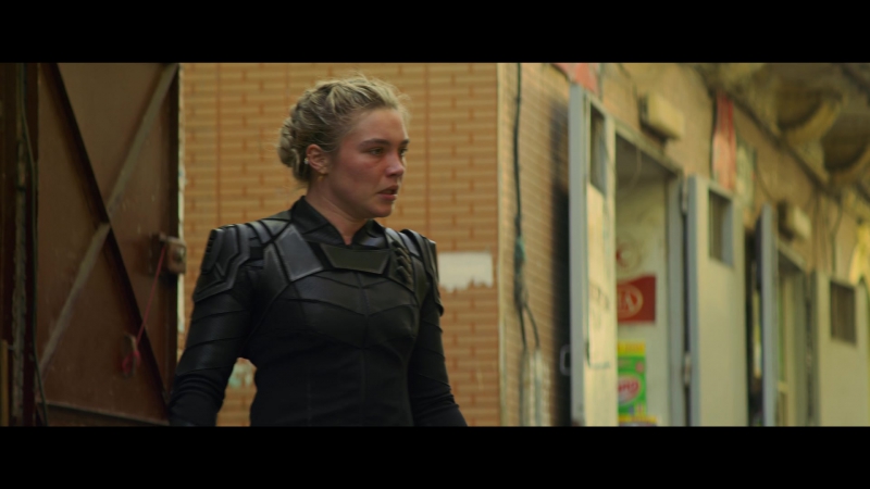 blackwidow28202129_1402.jpg