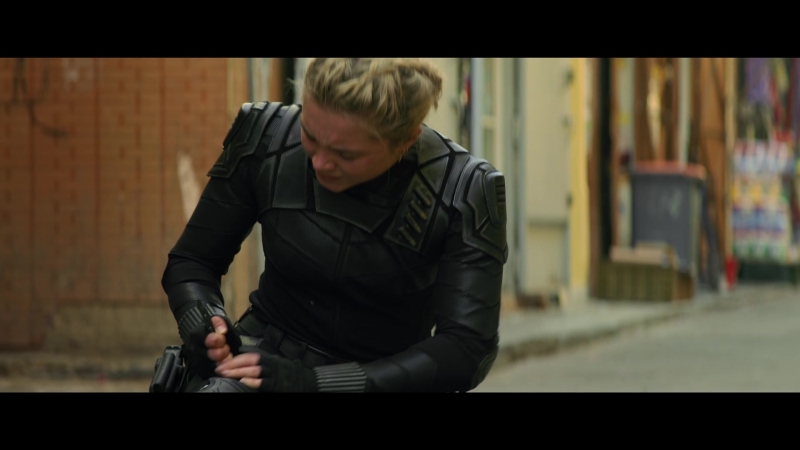 blackwidow28202129_1441.jpg