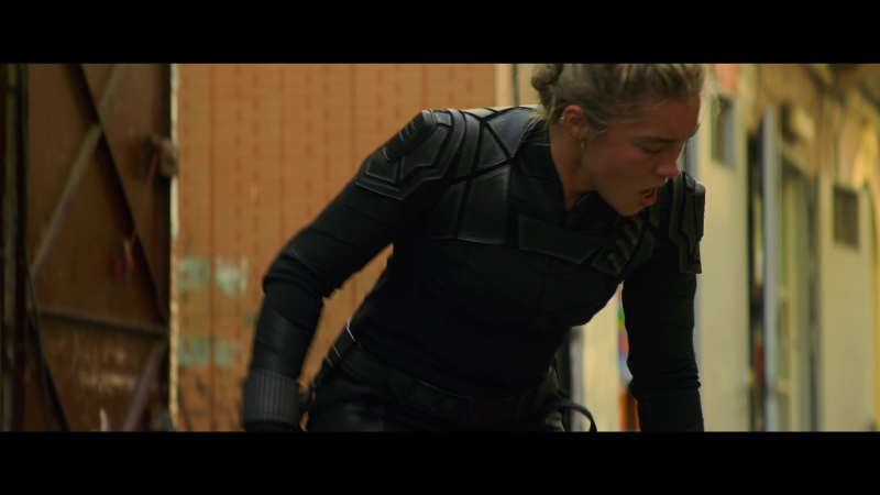 blackwidow28202129_1453.jpg