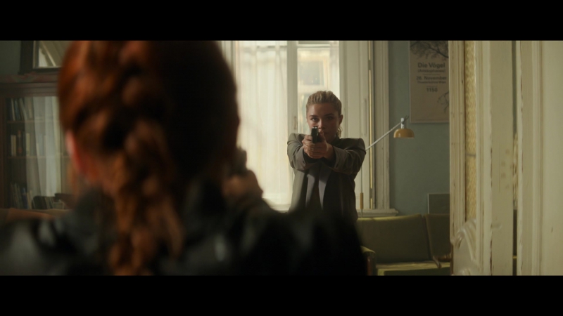 blackwidow28202129_2214.jpg