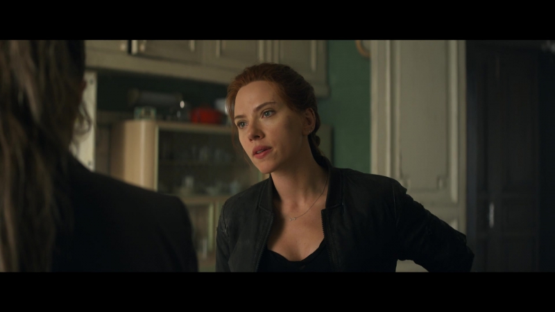 blackwidow28202129_2384.jpg