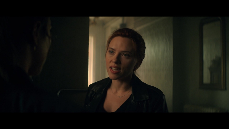 blackwidow28202129_2476.jpg