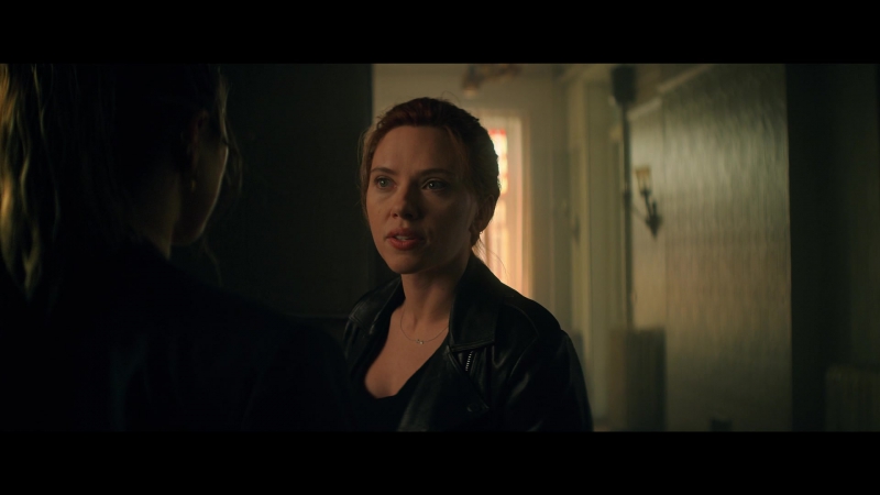 blackwidow28202129_2487.jpg