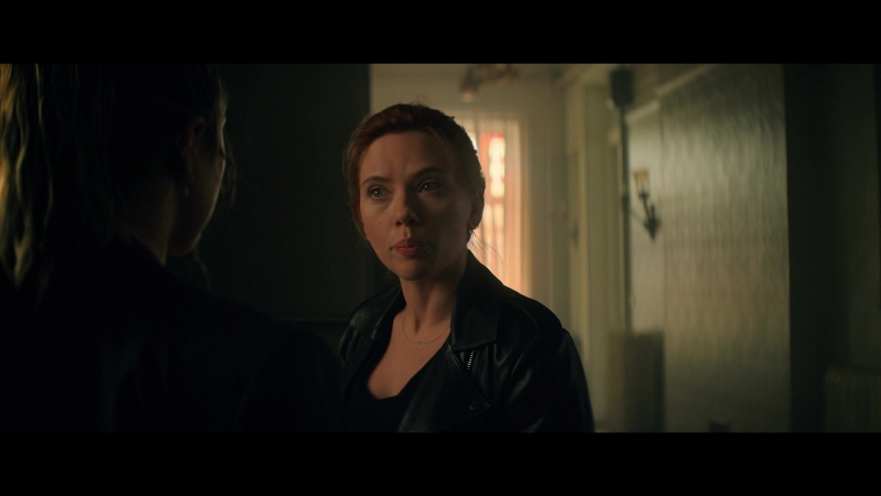 blackwidow28202129_2488.jpg