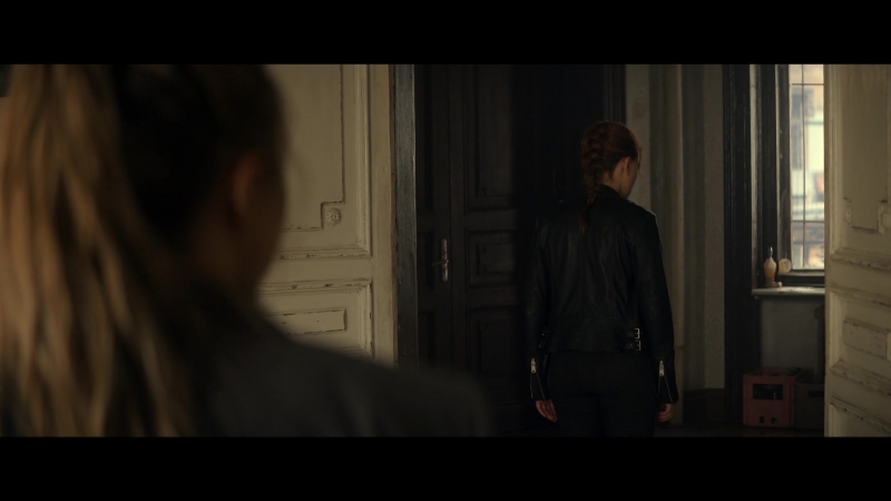 blackwidow28202129_2531.jpg