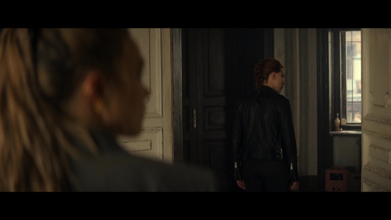 blackwidow28202129_2532.jpg