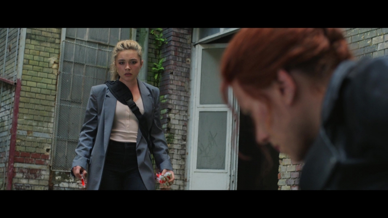 blackwidow28202129_2732.jpg