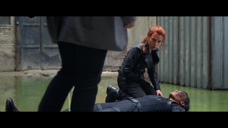 blackwidow28202129_2733.jpg