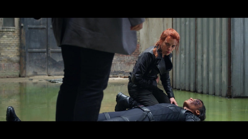 blackwidow28202129_2734.jpg