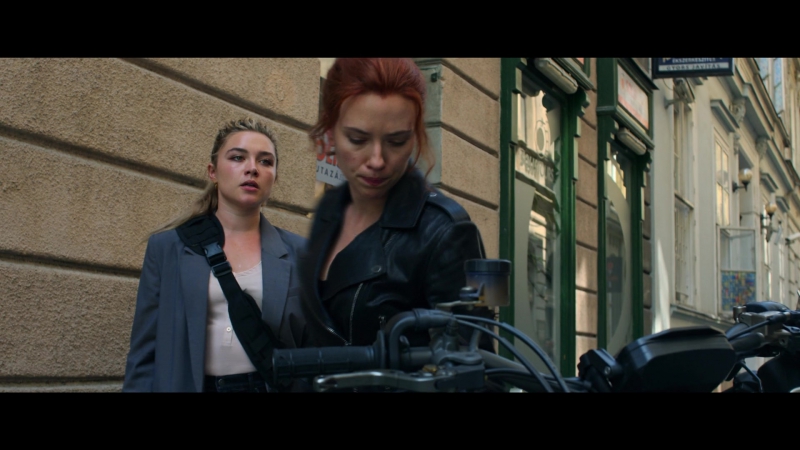 blackwidow28202129_2767.jpg