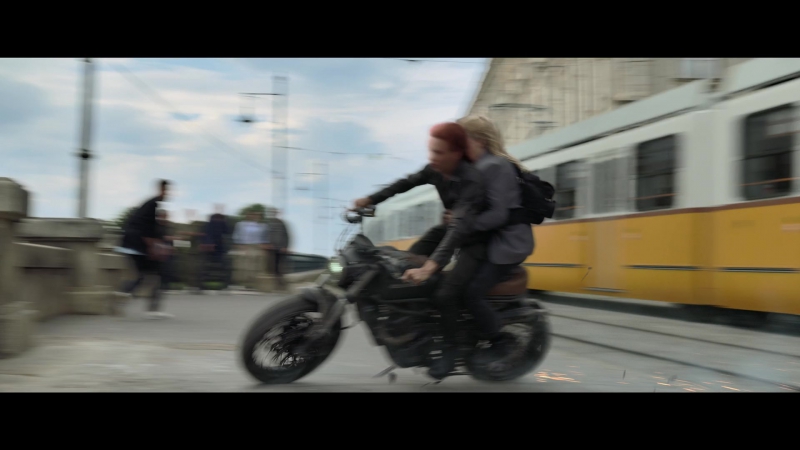 blackwidow28202129_2815.jpg