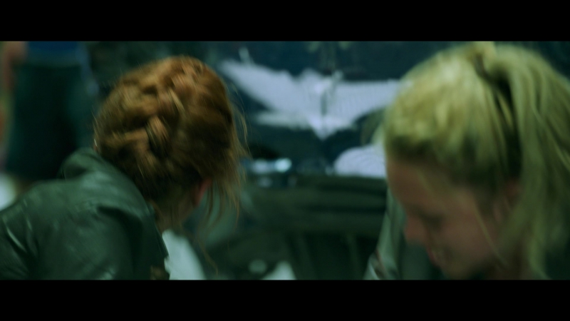 blackwidow28202129_2978.jpg