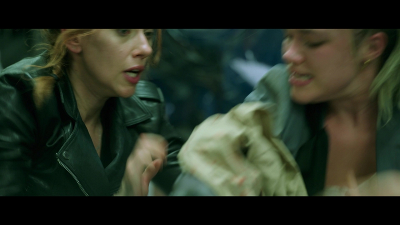 blackwidow28202129_2979.jpg