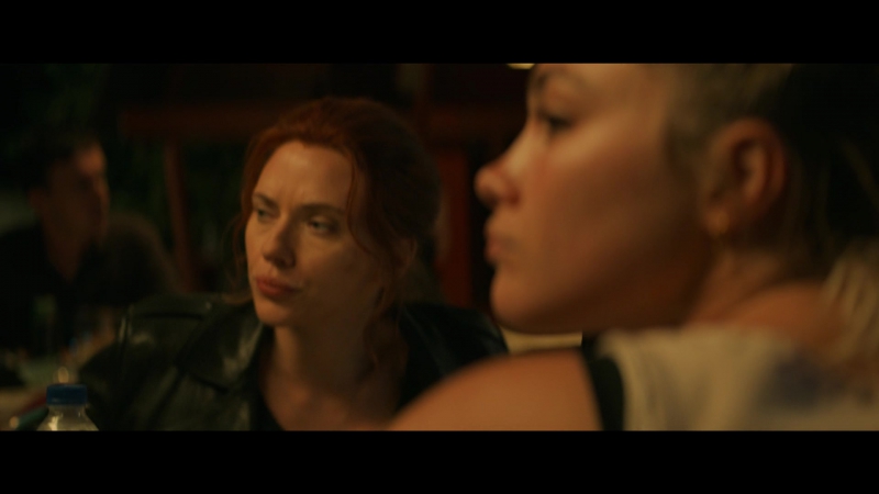 blackwidow28202129_3441.jpg