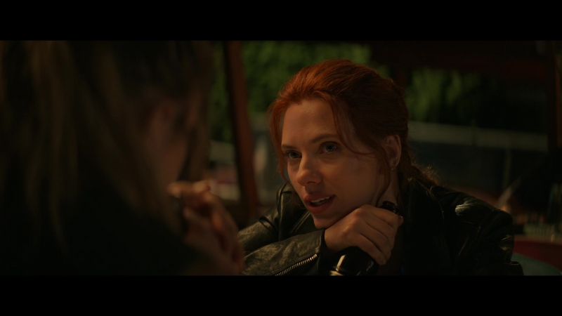 blackwidow28202129_3595.jpg