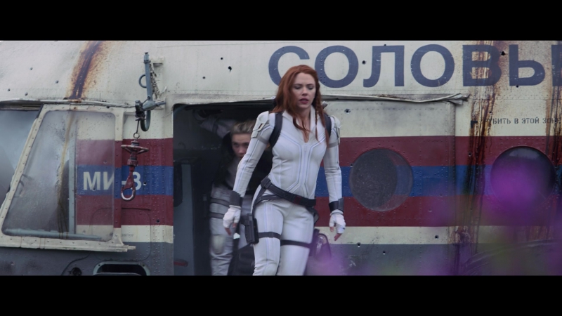 blackwidow28202129_4645.jpg