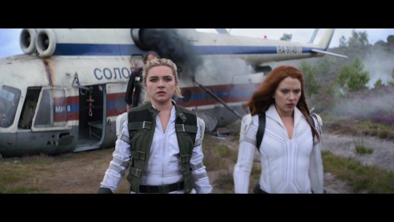 blackwidow28202129_4672.jpg