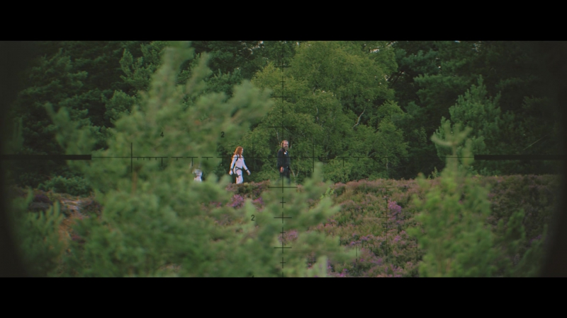 blackwidow28202129_4892.jpg