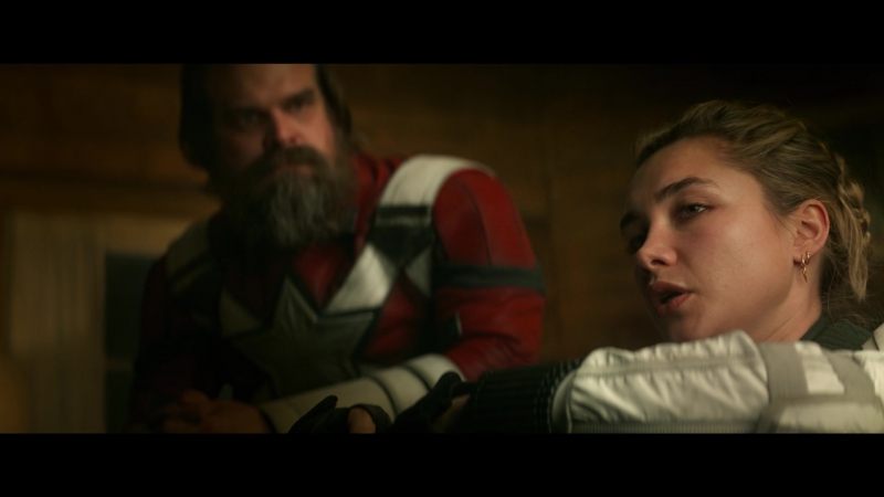blackwidow28202129_5902.jpg
