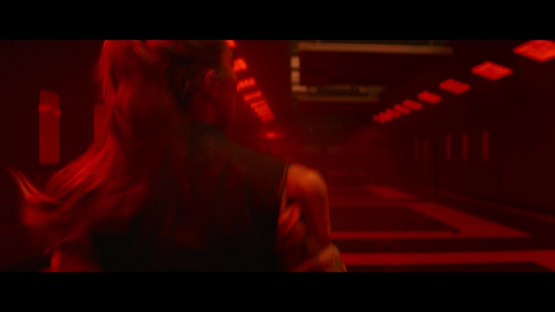 blackwidow28202129_7488.jpg