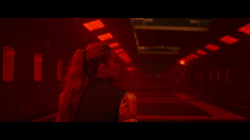 blackwidow28202129_7489.jpg