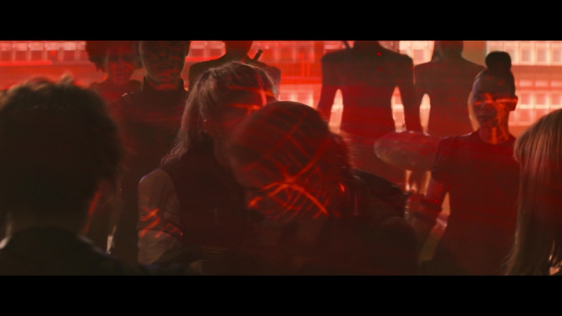 blackwidow28202129_7724.jpg