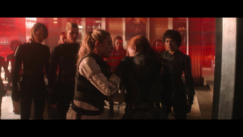 blackwidow28202129_7728.jpg