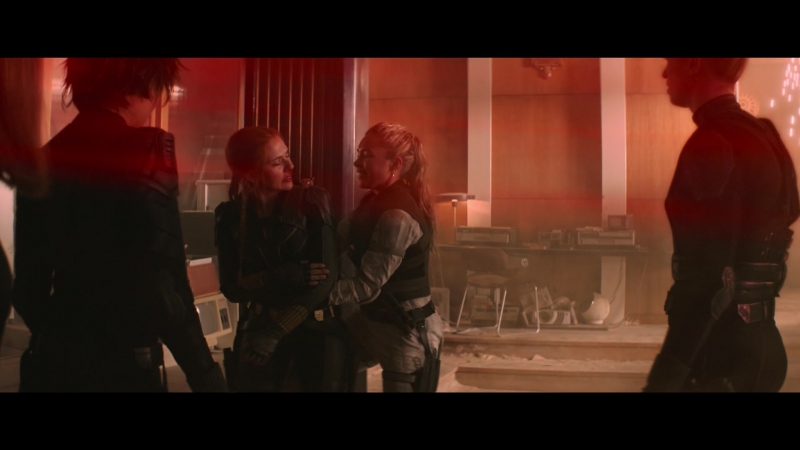 blackwidow28202129_7729.jpg