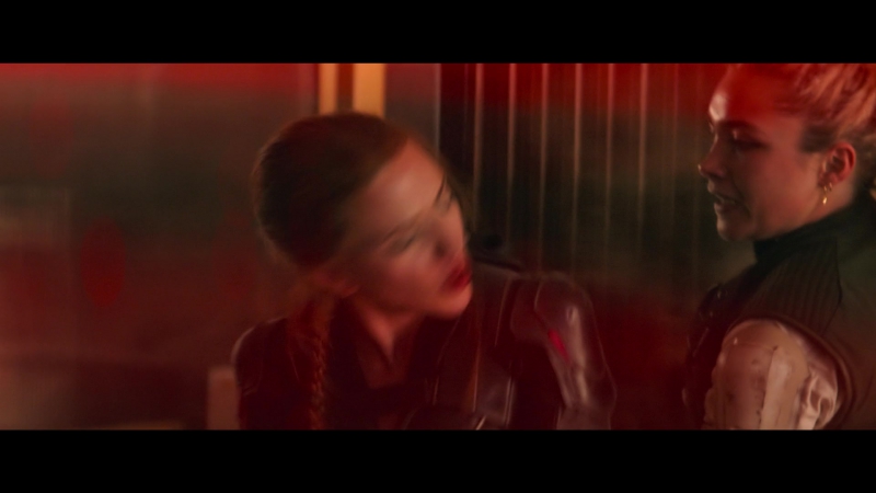 blackwidow28202129_7730.jpg