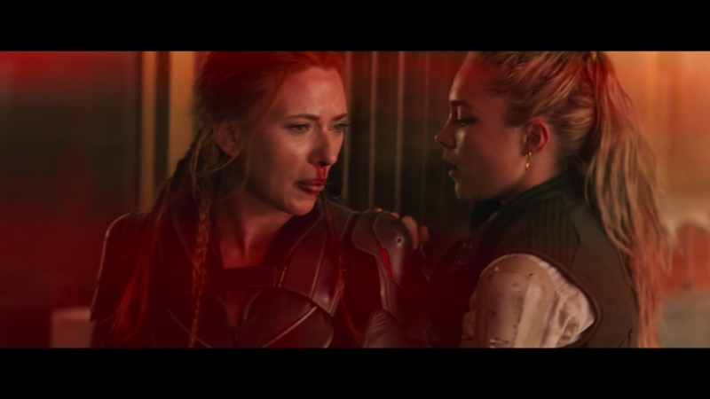 blackwidow28202129_7731.jpg