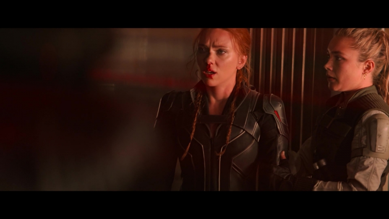 blackwidow28202129_7737.jpg