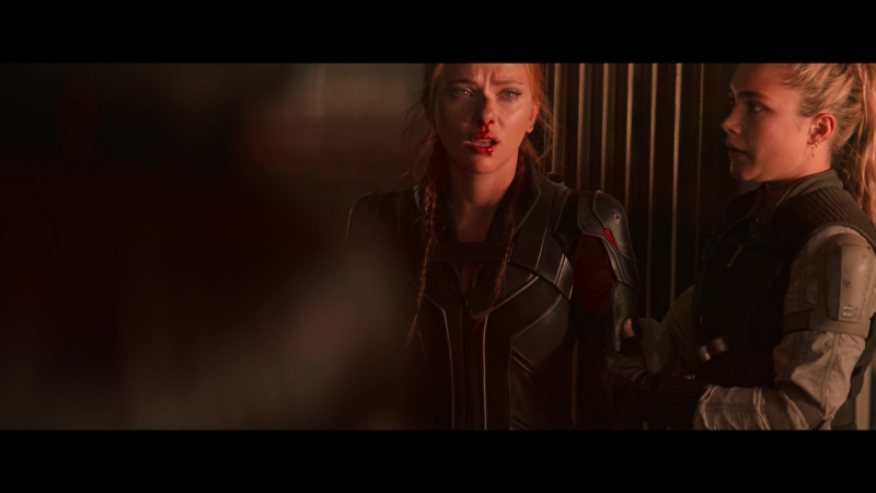 blackwidow28202129_7738.jpg