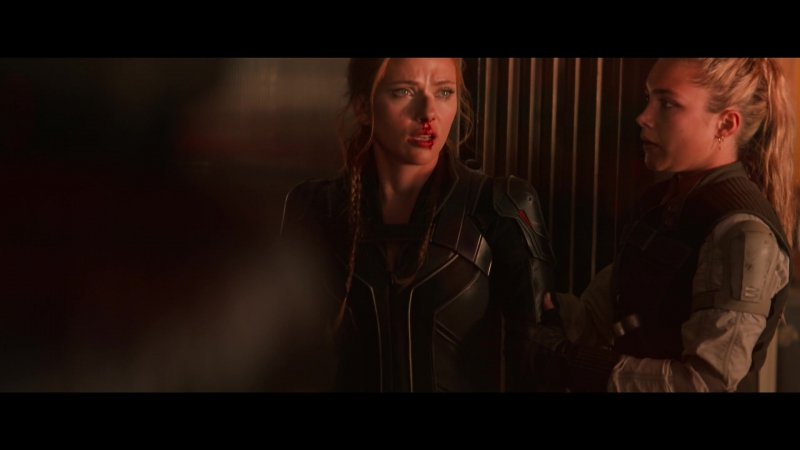 blackwidow28202129_7739.jpg