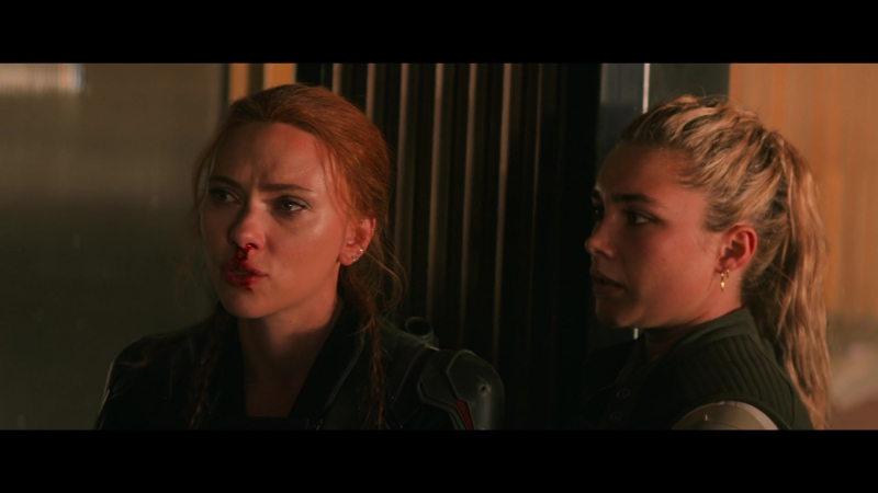 blackwidow28202129_7744.jpg