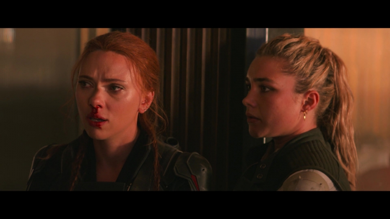 blackwidow28202129_7749.jpg