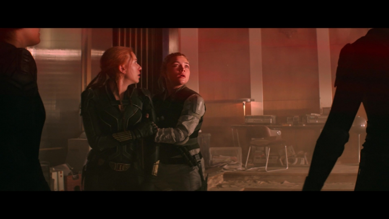 blackwidow28202129_7757.jpg