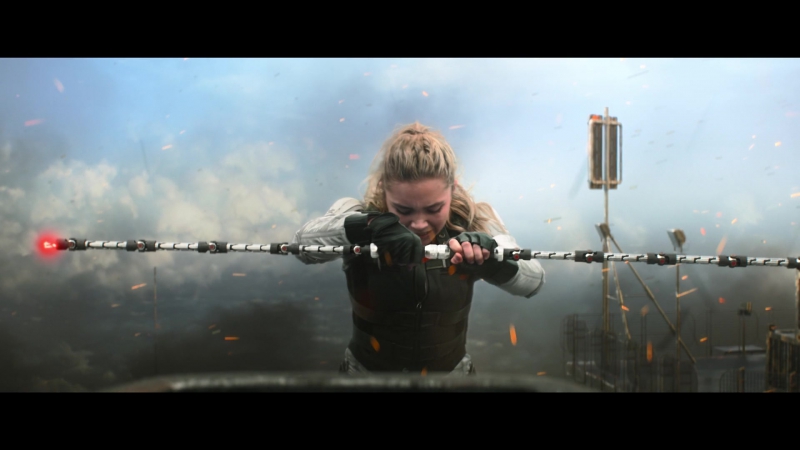 blackwidow28202129_8121.jpg