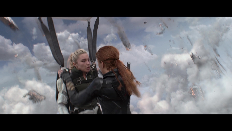 blackwidow28202129_8219.jpg