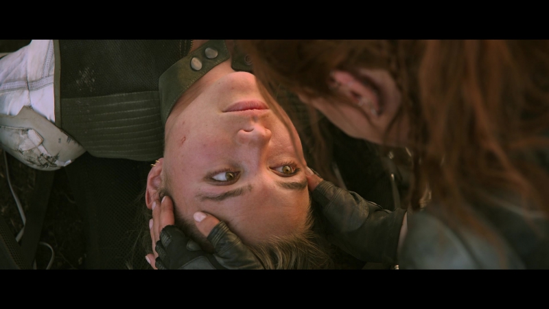 blackwidow28202129_8409.jpg