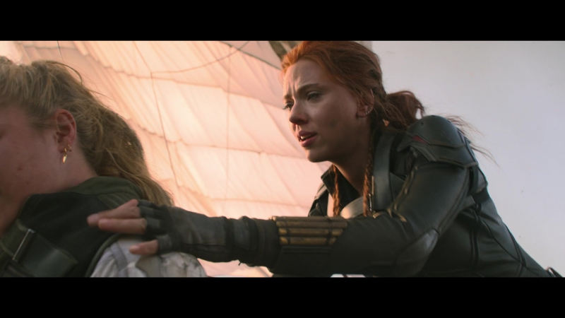 blackwidow28202129_8421.jpg